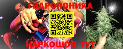 винт Гусь-Хрустальный