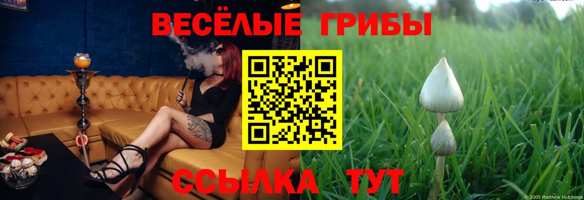 Псилоцибиновые грибы мухоморы Новоалександровск